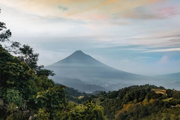 Top Menu Design Agencies in Guatemala