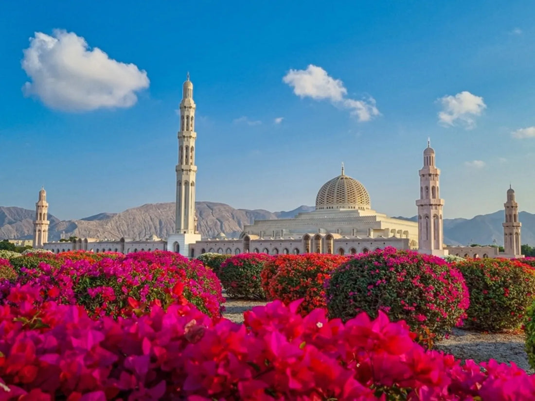 Top or Best Talent Management Agencies and Companies in Oman