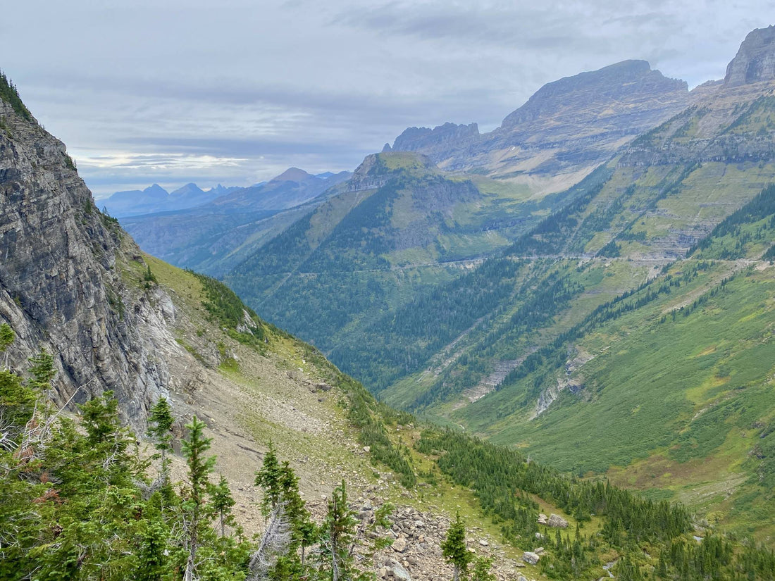 Top or Best Menu Design Agencies and Companies in Milford, New Hampshire