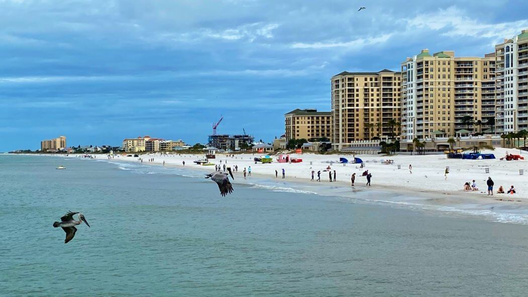 Top Companies in Clearwater, Florida: Explore Businesses Shaping the City