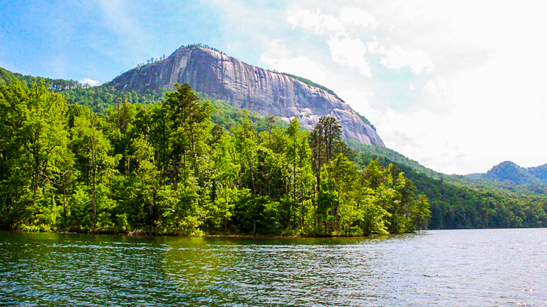 Top or Best Website Design Agencies and Companies in Greenville, South Carolina