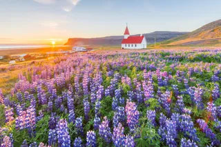 Top Web and Mobile Design Agencies in Iceland