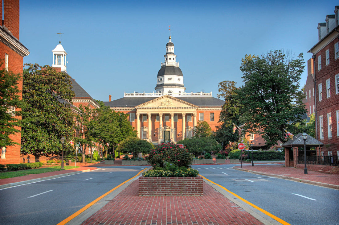 Best Social Media Design Agencies in Maryland