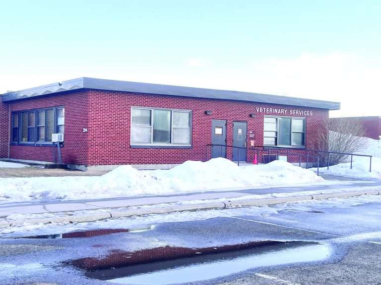 Top or Best Graphic Design Agencies and Companies in Minot AFB, North Dakota