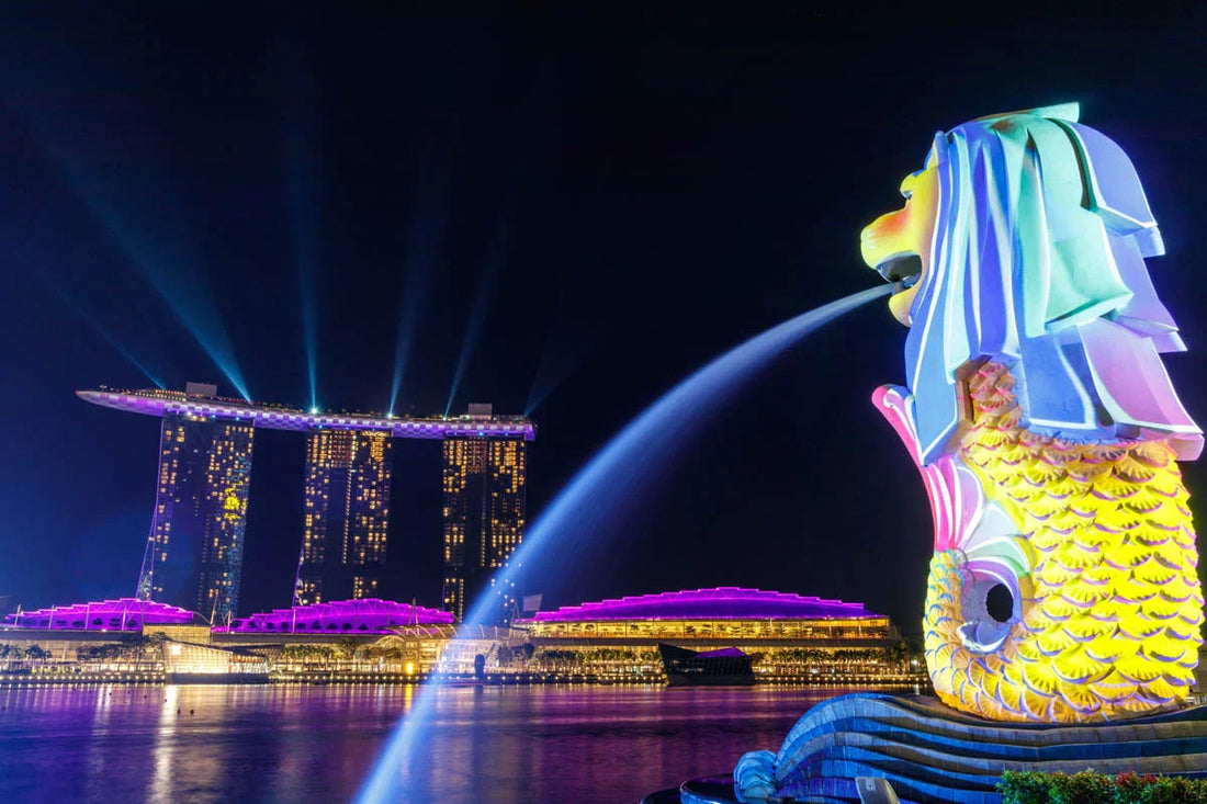 Best Instagram Management Companies in Singapore