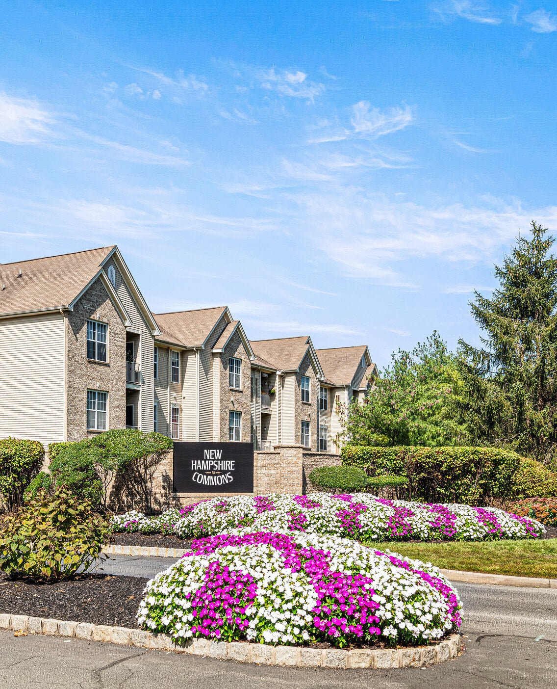 Top or Best Postcard Design Agencies and Companies in Lakewood, New Je ...