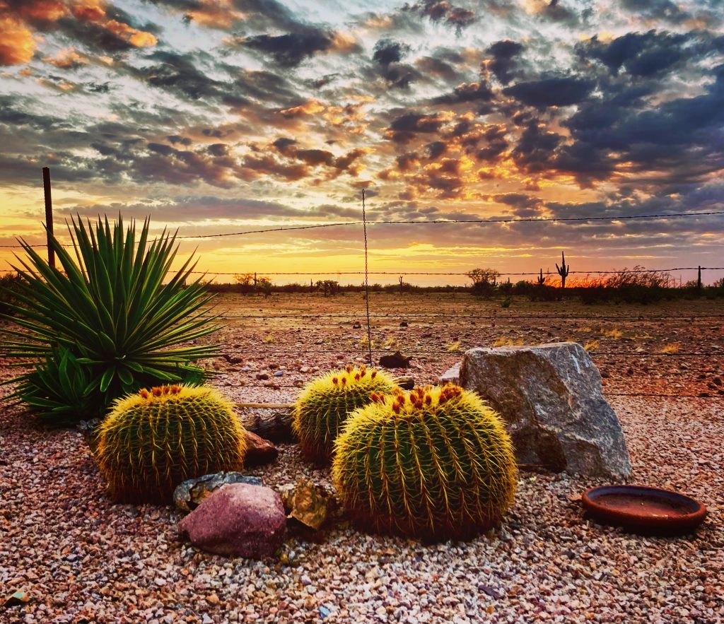 Top or Best Email Campaign Design Agencies and Companies in Phoenix, Arizona