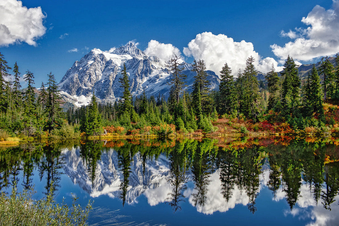 Top or Best Banner Ads Agencies and Companies in Bellingham, Washington