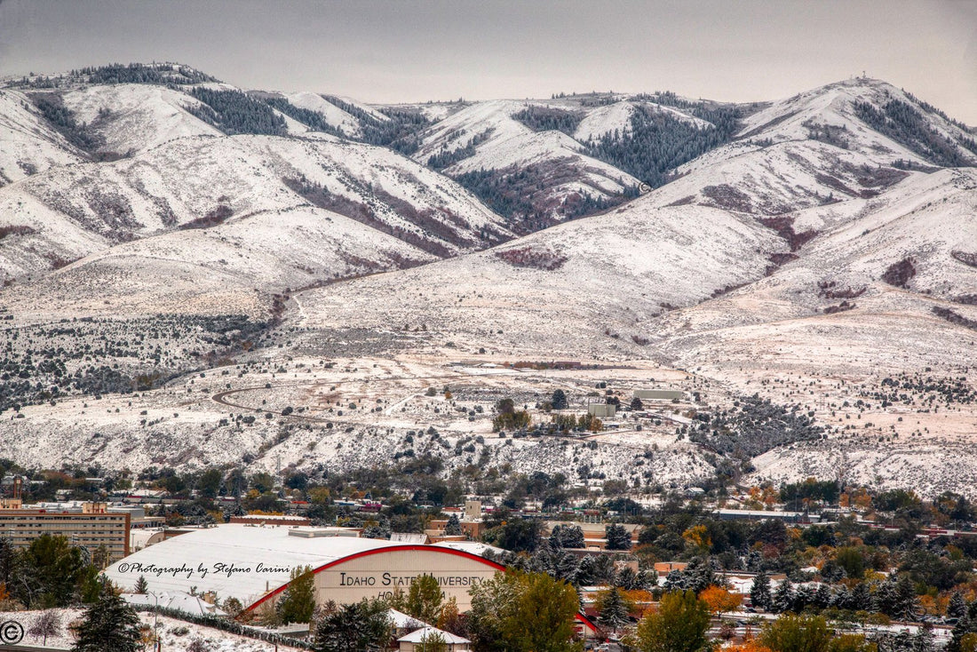 Top or Best Graphic Design Subscription Agencies and Companies in Pocatello, Idaho