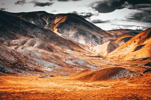 Top 5 Email Campaign Design Agencies in New Zealand