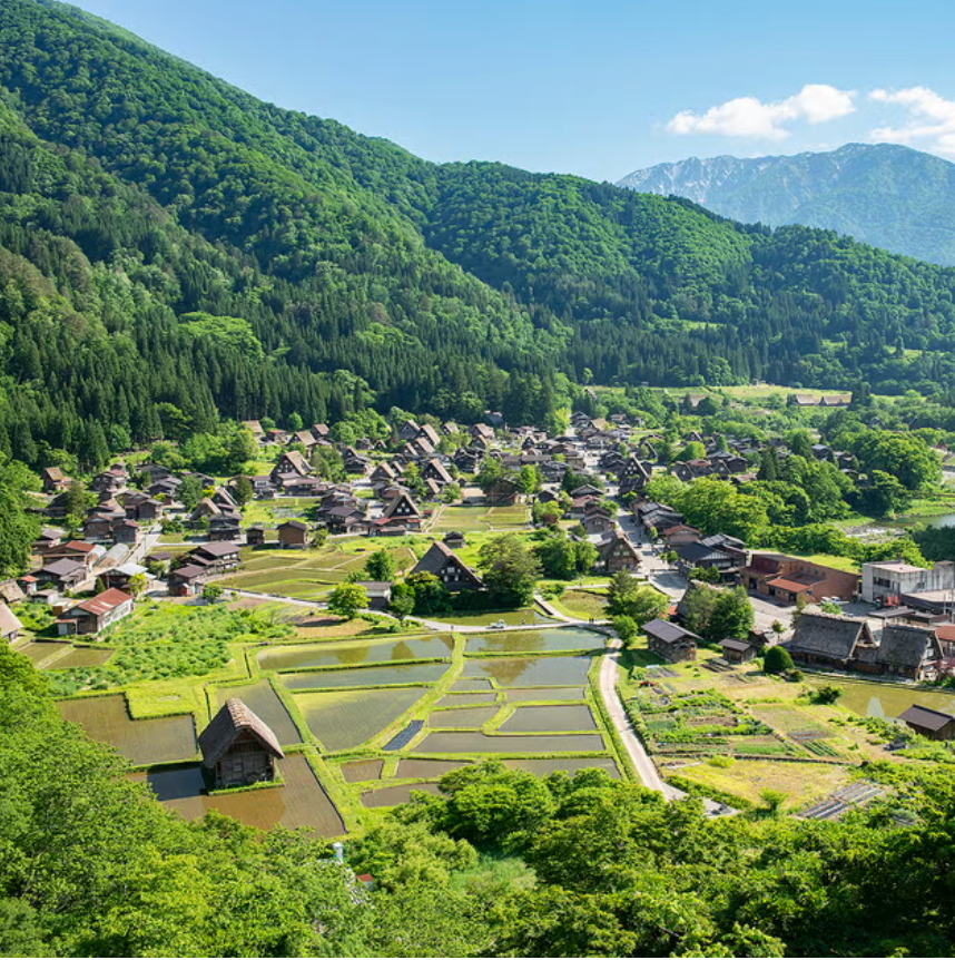 Top or Best Graphic Design Agencies in Nagoya, Japan