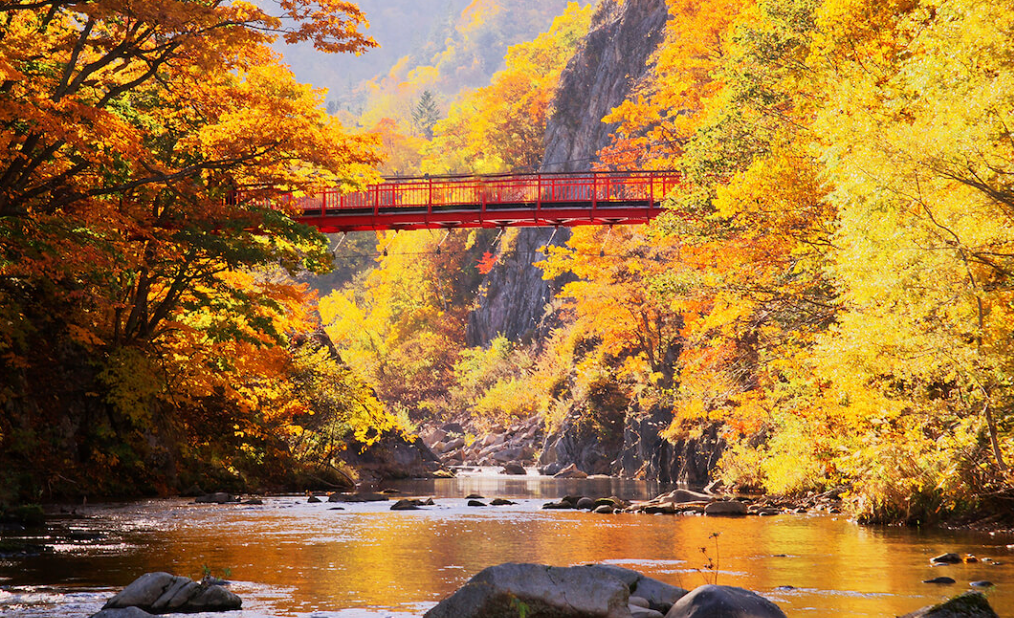 Top or Best Logo Animation Agencies in Sapporo, Japan