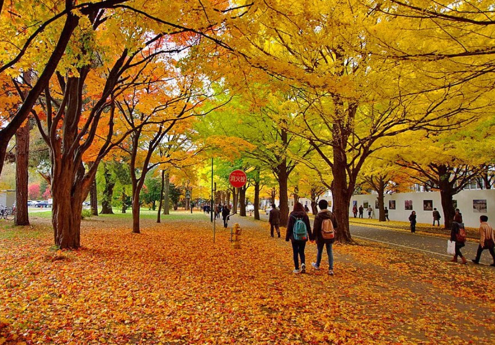 Top or Best Mural Design Agencies in Sapporo, Japan