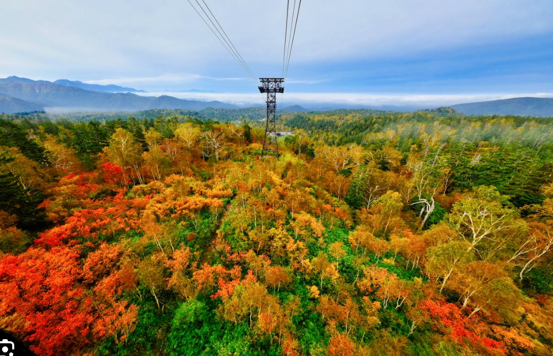 Top or Best Copywriting Agencies in Sapporo, Japan