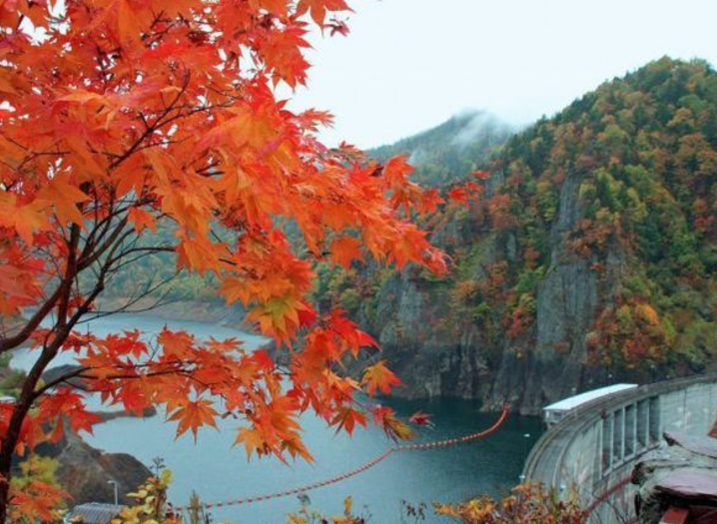 Top or Best AR Filters & Lenses Agencies in Sapporo, Japan