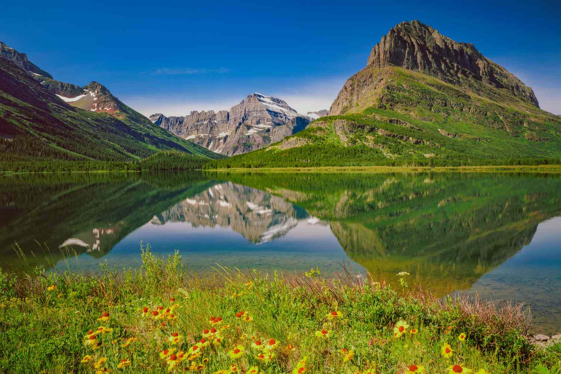 Top Stationery Design Agencies in Montana