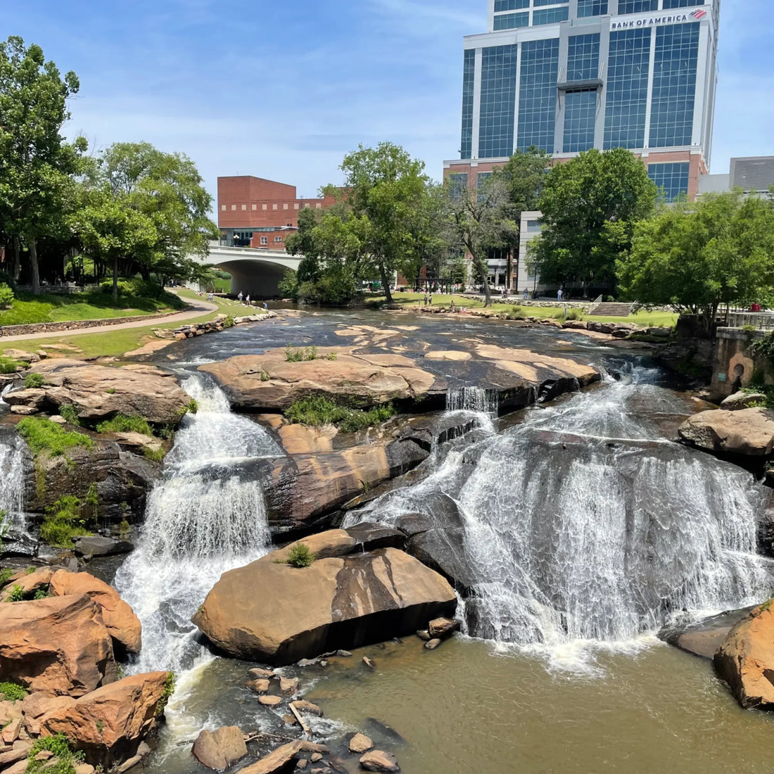 Top or Best Virtual Background Design Agencies and Companies in Greenville, South Carolina