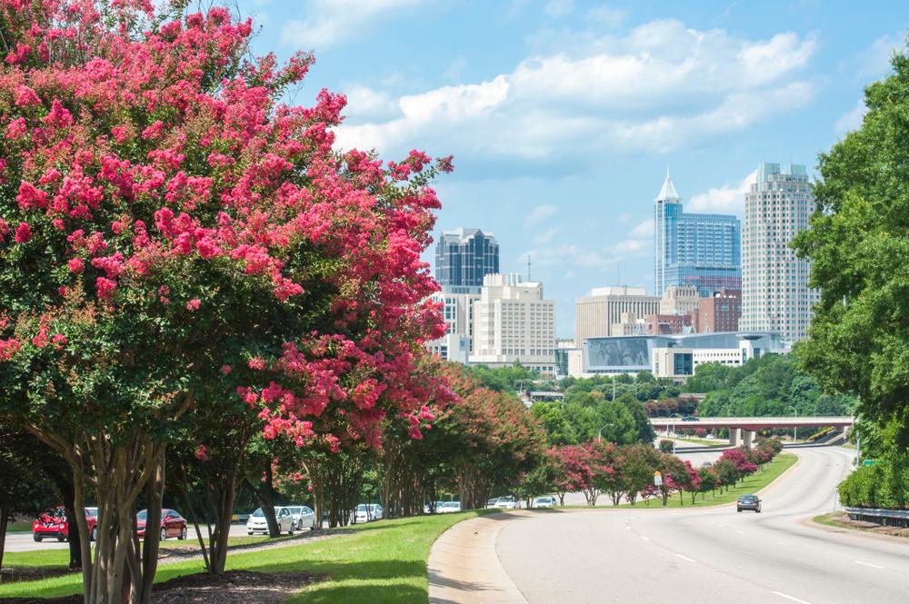 Top or Best Twitch Management Agencies and Companies in Raleigh, North Carolina