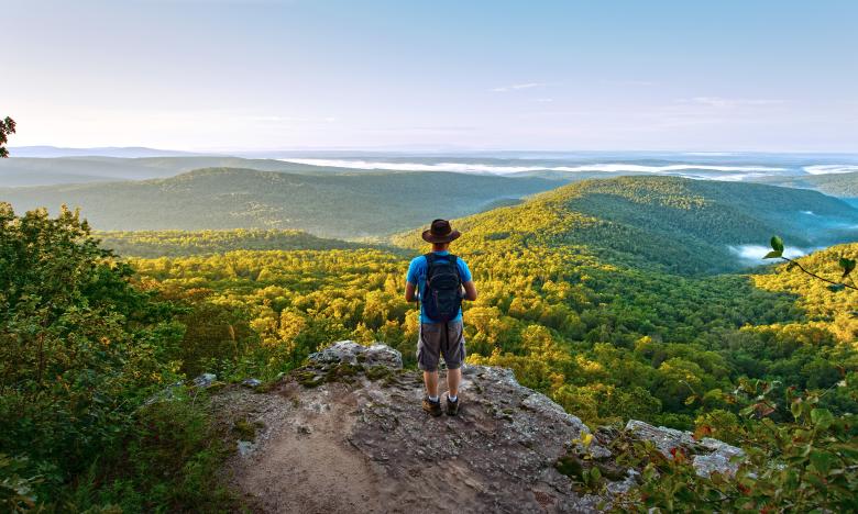 Top or Best Direct Mail Design Agencies and Companies in Jonesboro, Arkansas