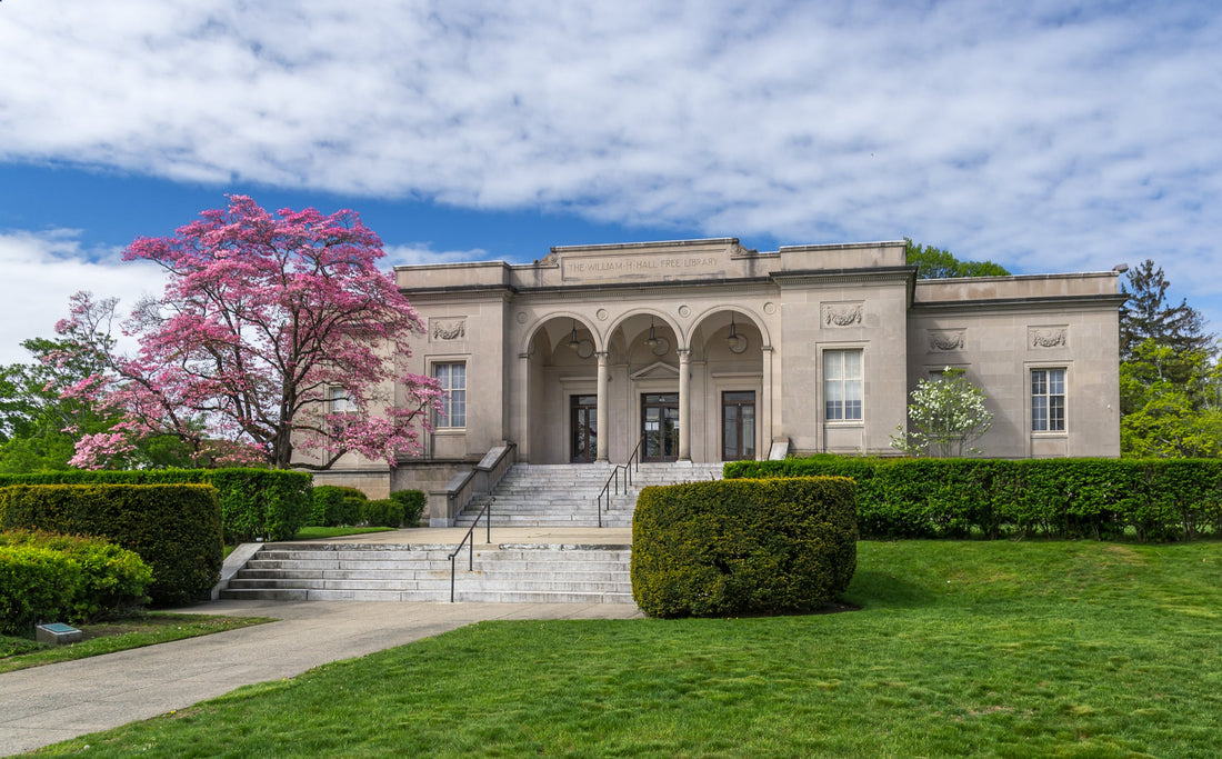 Top or Best X (Twitter) Management Agencies and Companies in Cranston, Rhode Island