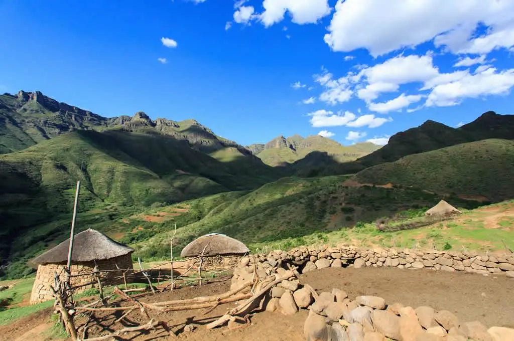 Top or Best Talent Management Agencies and Companies in Lesotho