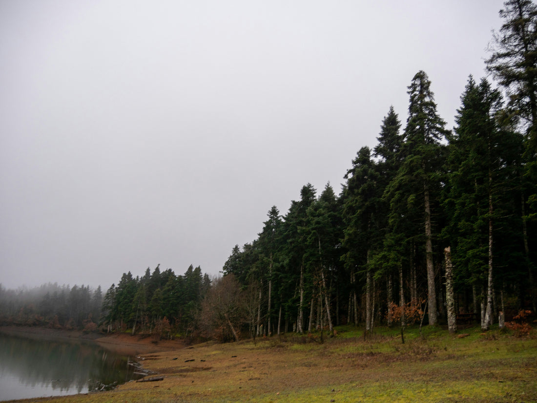Top and Best Facebook Management Agencies and Companies in Eugene, Oregon