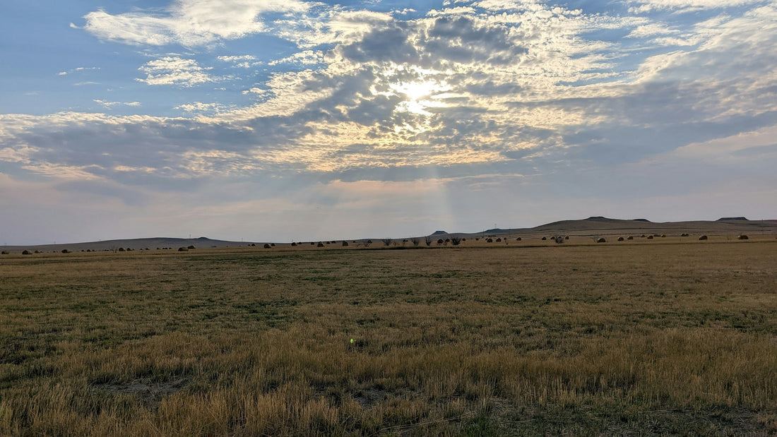 Top and Best Copywriting Agencies and Companies in Mitchell, South Dakota