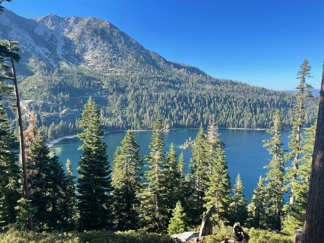 Top and Best Facebook Management Agencies and Companies in Sparks, Nevada