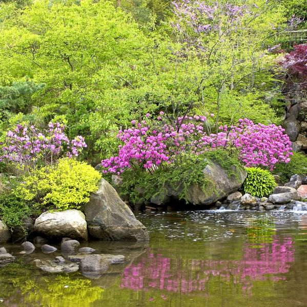 Top or Best Video Editing Agencies and Companies in Rockford, Illinois