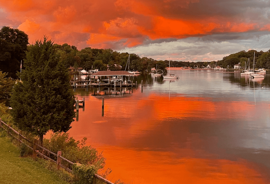 Top or Best Infographic Design Agencies and Companies in Severn, Maryland