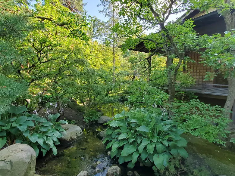 Top or Best Email Campaign Design Agencies and Companies in Rockford, Illinois