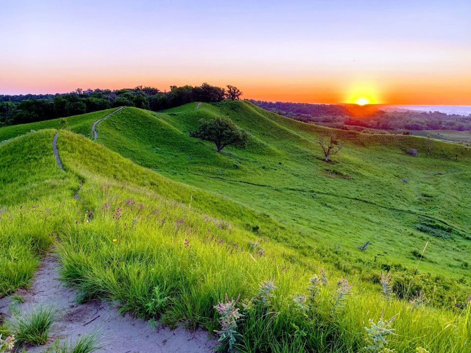 Top or Best LinkedIn Management Agencies and Companies in Chalco, Nebraska