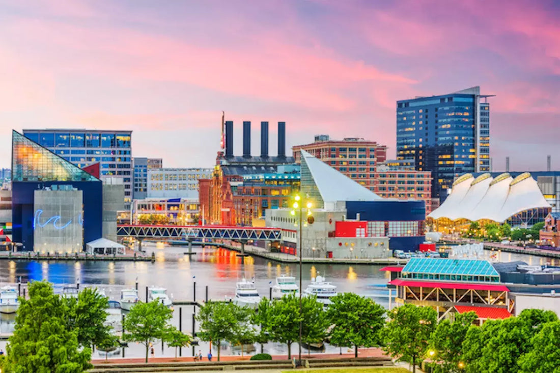 Top or Best YouTube Management Agencies and Companies in Baltimore, Maryland