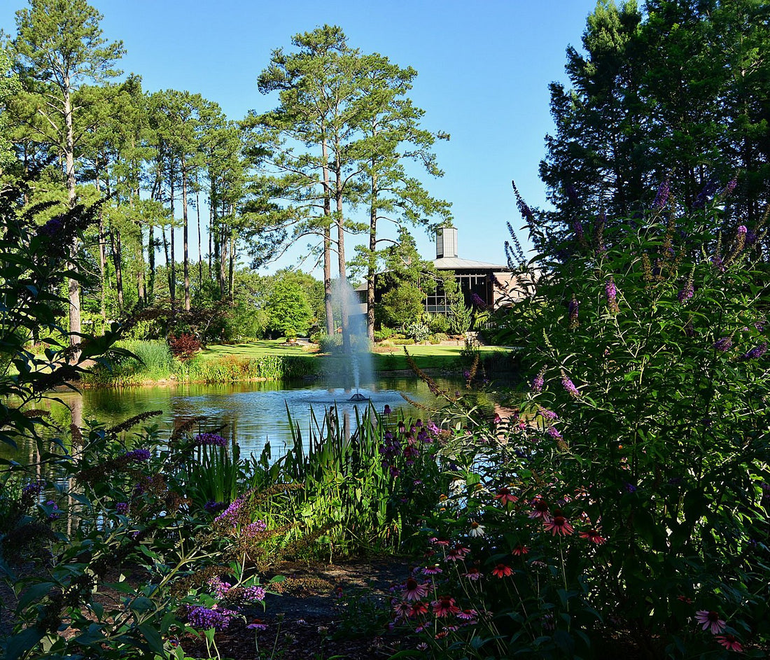 Top or Best TikTok Management Agencies and Companies in Fayetteville, North Carolina