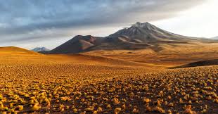 Top NFT Art Agencies in Chile