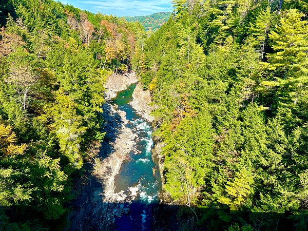 Top or Best NFT Art Agencies and Companies in Hartford, Vermont