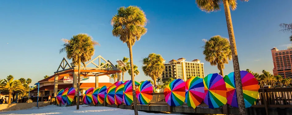 Top or Best Mural Design Agencies and Companies in Clearwater, Florida ...
