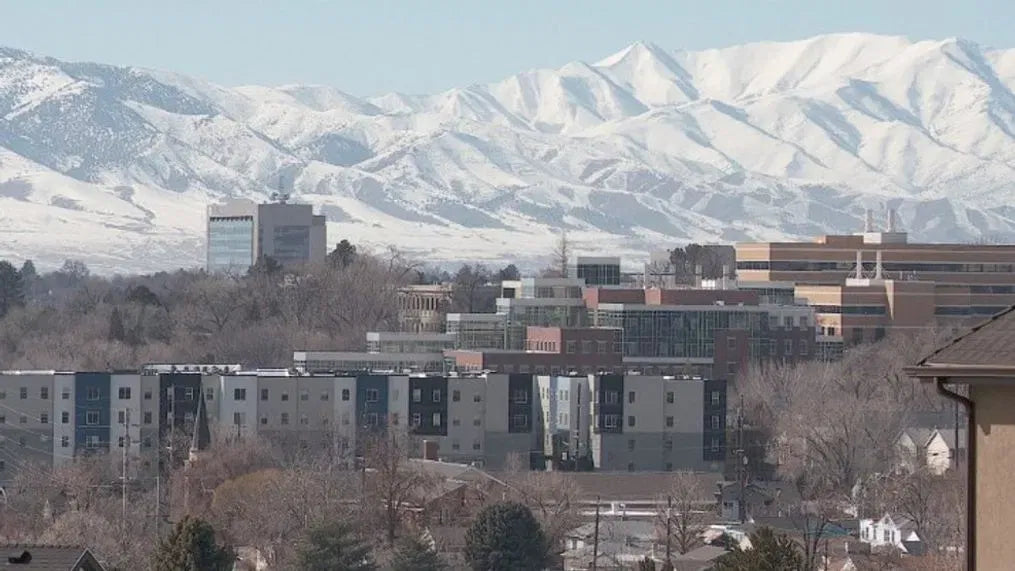 Top or Best Menu Design Agencies and Companies in Provo, Utah