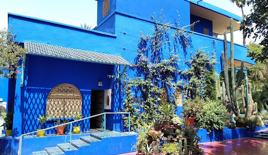 Top X (Twitter) Management Company in Morocco