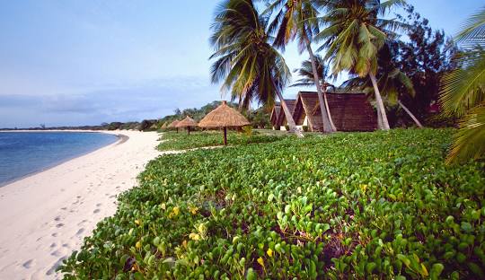 Top X (Twitter) Management Company in Mozambique
