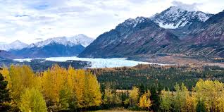 Best Facebook Management Company in Alaska