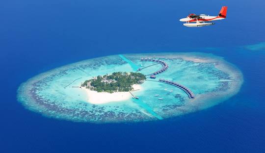 Top X (Twitter) Management Company in Maldives