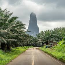 Top 5 Drawing and Illustration Agencies in Sao Tome and Principe