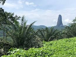 Top 5 Storyboard Agencies in Sao Tome and Principe