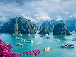 Top Social Media Management Company in Vietnam