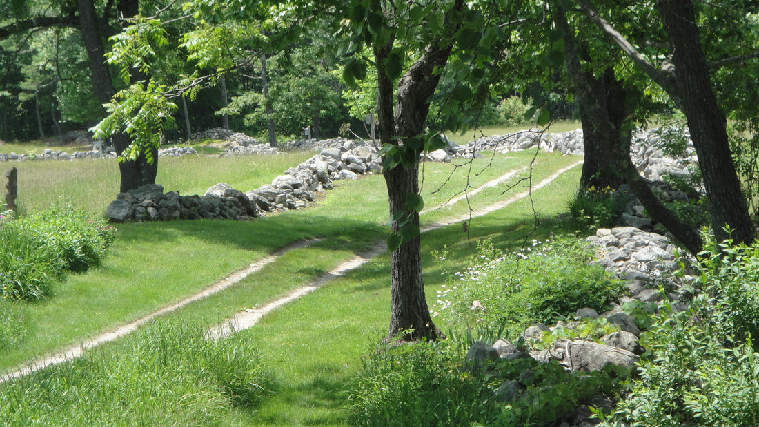 Top or Best Graphics for Streamers Agencies and Companies in Milford, New Hampshire