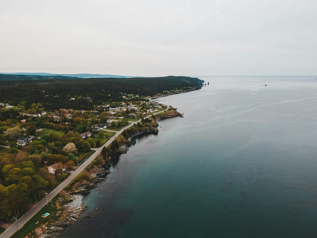 Top or Best Logo Design Agencies and Companies in Gorham, Maine