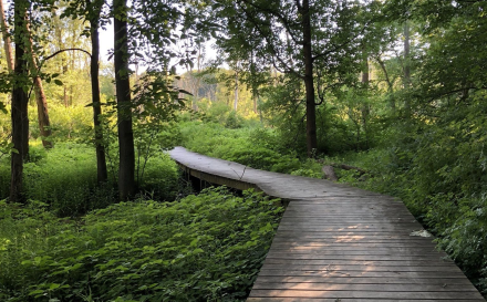 Top or Best Custom Graphics for Videos Agencies and Companies in Hammond, Indiana