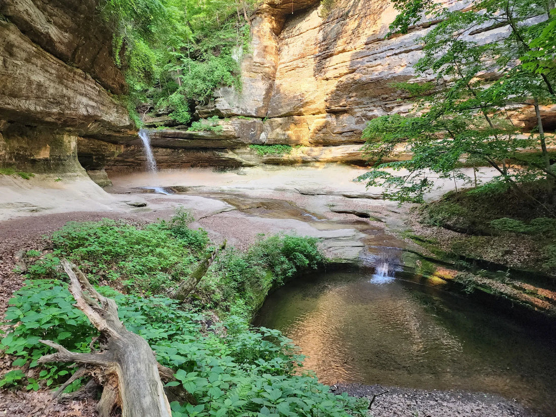 Top or Best Talent Agency Agencies and Companies in Illinois