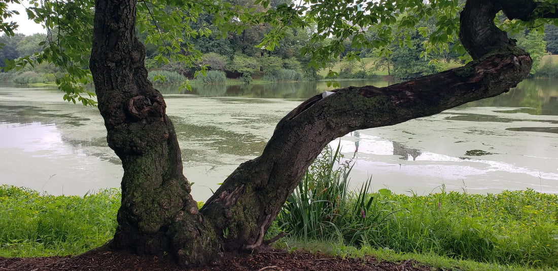 Best or Top LinkedIn Management Agencies and Companies in Newark, New Jersey